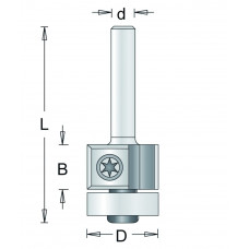 204-6 HM KANTENFREES MET WISSELMESSEN , D= 19