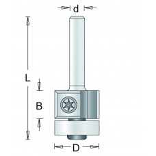 204-6 HM KANTENFREES MET WISSELMESSEN , D= 19